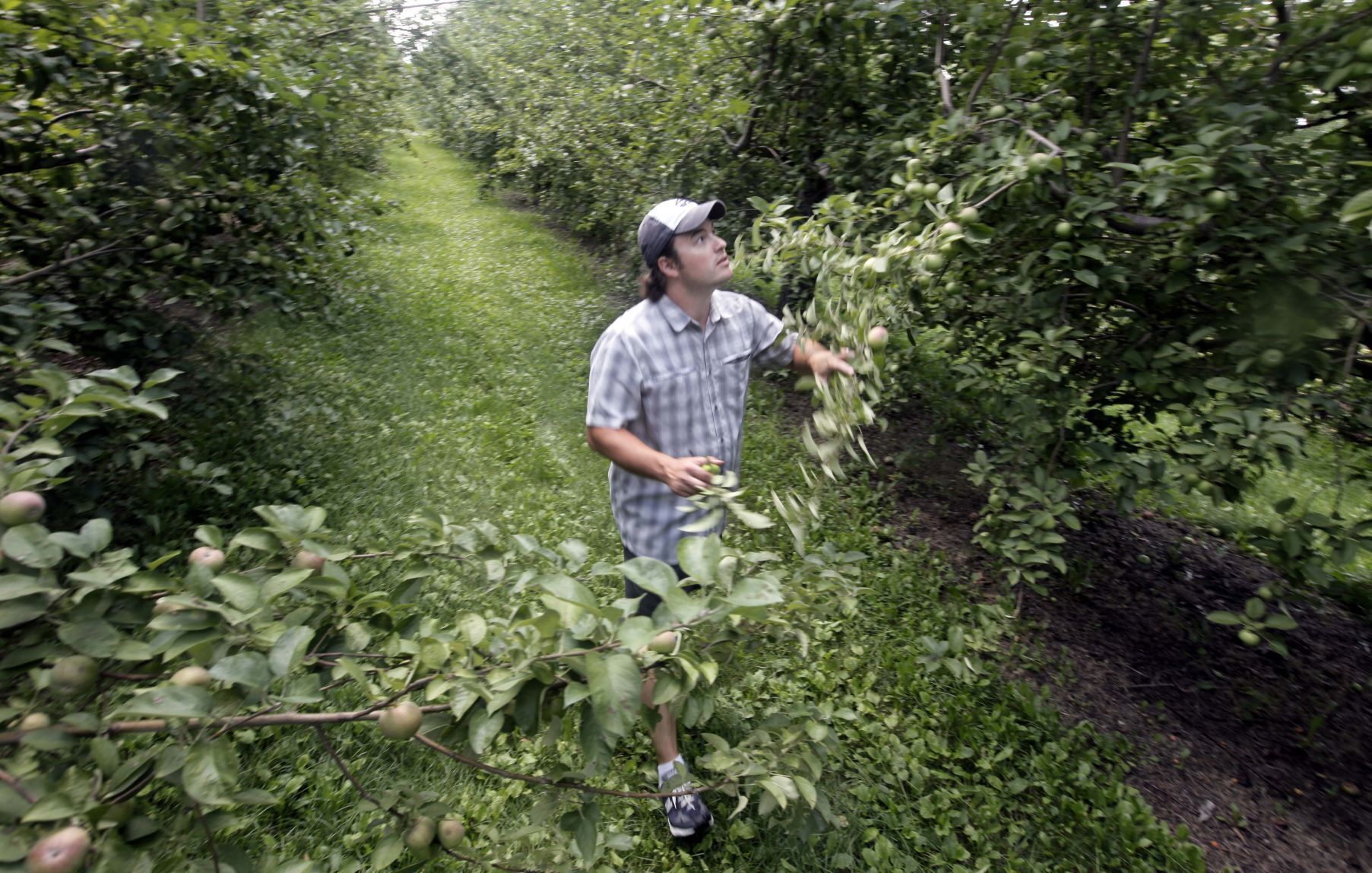 Misc. crops: $18,510,975,000